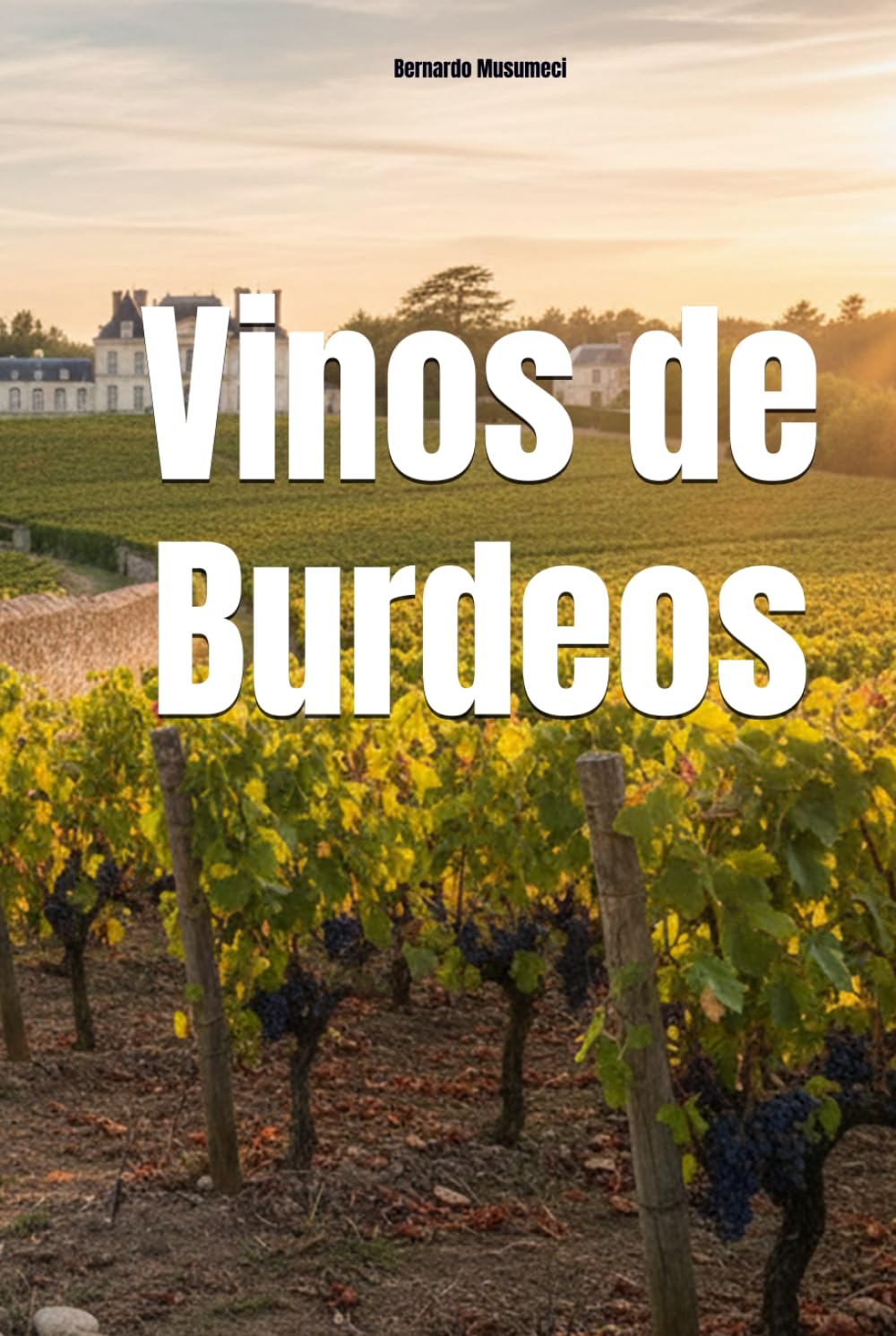 Vinos de Burdeos (Wines of the World: France)