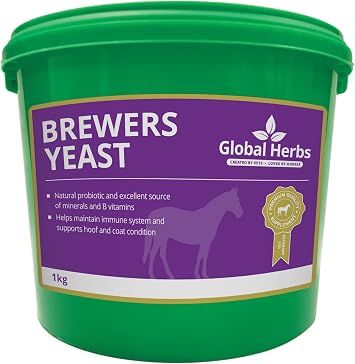 Global Herbs Brewers Yeast Equine B-Vitamin Support Powder 1kg