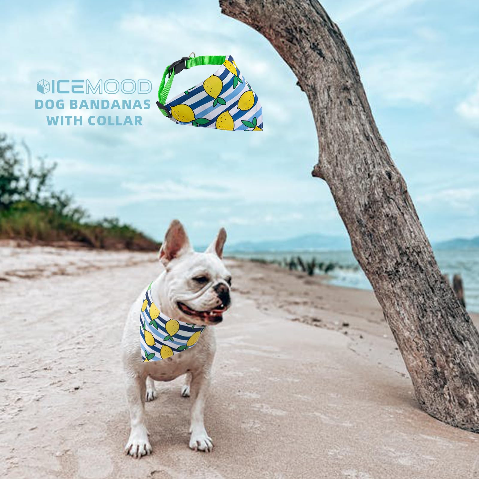 ICEMOOD Novelty Printed Dog Bandana Slip Over Collar - Adjustable Cute Puppy Pet Scarf, Mango Stripe, Medium - Image 2