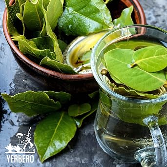 Yerbero - Whole Aromatic Dried Avocado Leaves 3.5 oz (100 g) | Hoja De Aguacate Criollo - Extra Aromatica Fuerte Olor | Bold/Strong Smell | Perfect for a Healthy Tea or as Seasoning For Mexican Dishes