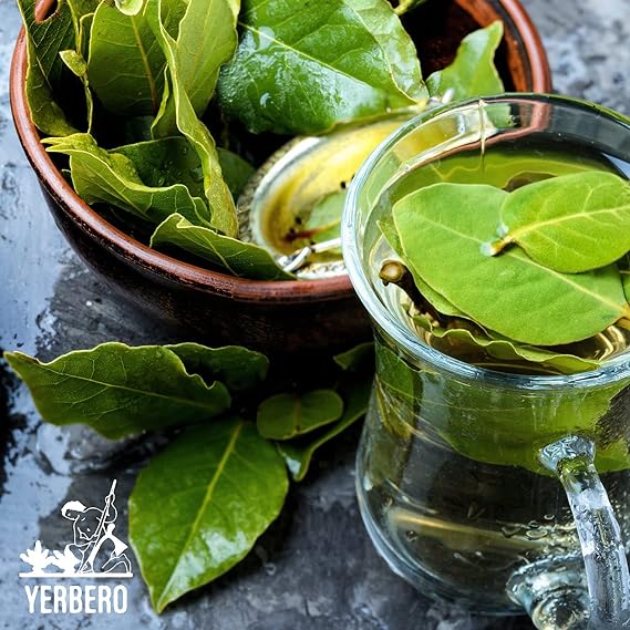 Yerbero - Whole Aromatic Dried Avocado Leaves 3.5 oz (100 g) | Hoja De Aguacate Criollo - Extra Aromatica Fuerte Olor | Bold/Strong Smell | Perfect for a Healthy Tea or as Seasoning For Mexican Dishes