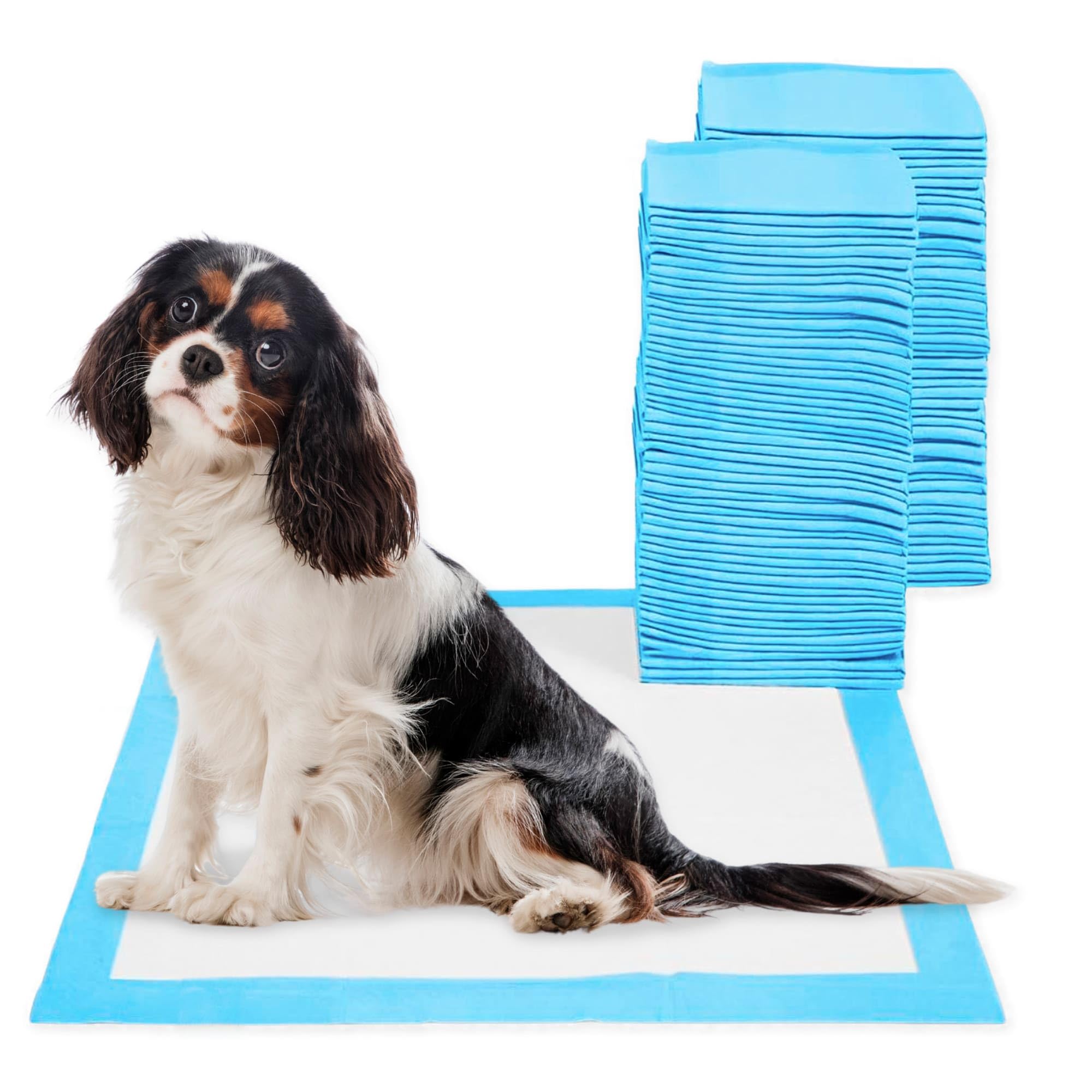 Empapadores Perros 60x60 cm CIVINZON 100 Unidades Ultra absobente de micciones, Alfombrillas Higienica Desechables para Mascotas, Resguardos para Cães, Resistente, Atrayente y a Prueba de Fugas