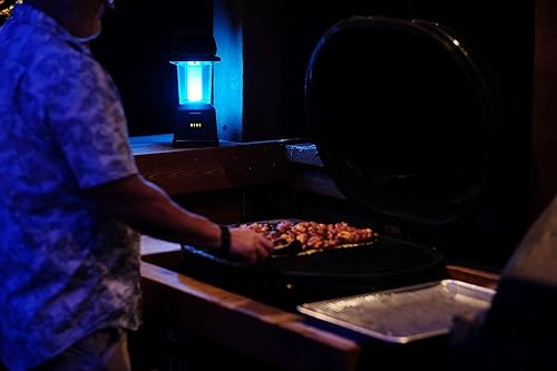 Miniatura 10 de Enbrighten Linterna recargable LED de doble potencia que cambia de color, banco de energía USB, 4400 mAh, 650 lúmenes, regulable, 425 horas, ideal