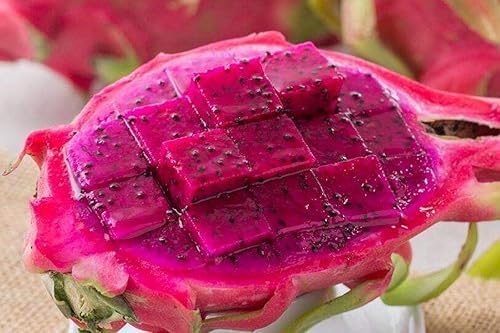 Miniatura 2 de 100 piezas de semillas Pitaya Bonsái Plantas de árbol de fruta del dragón Jardín Carne roja Pitaya Semillas