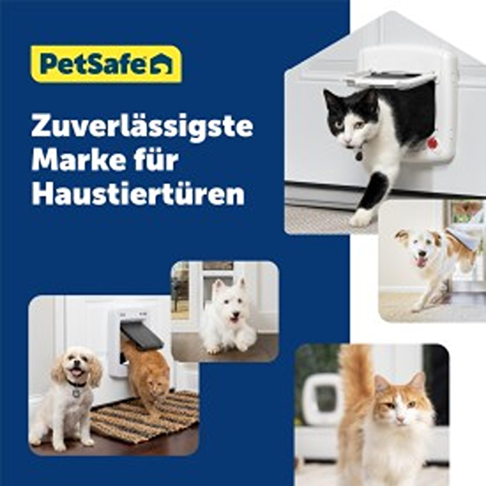 PetSafe Staywell Magnetische Katzenklappe Deluxe, Magnet-Schlüssel gibt nur Ihrer Katze Zugang - hält fremde Tiere draußen, mit 4 Verschlussoptionen, für Katzen bis zu 7 kg, Weiß