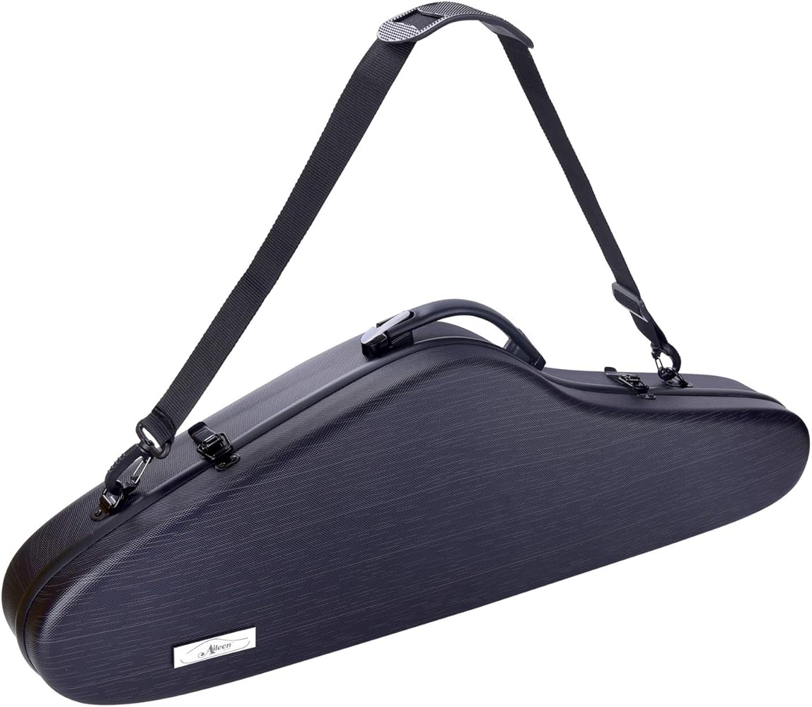 Amazon.com: Aileen CSV-F18 Violin Hard Case 4/4 Full Size Luxury