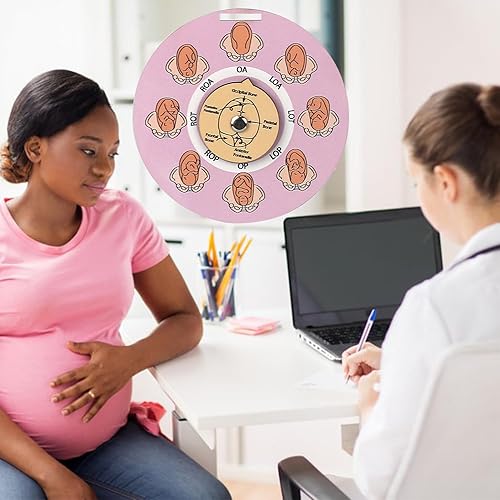 Miniatura 8 de Herramienta de posición fetal de partera, rueda de posición fetal para estudiantes, matrona, doctora, Doula, herramientas educativas para el parto,