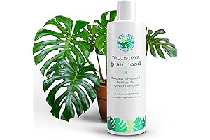 Monstera Food for Lush & Thriving Foliage