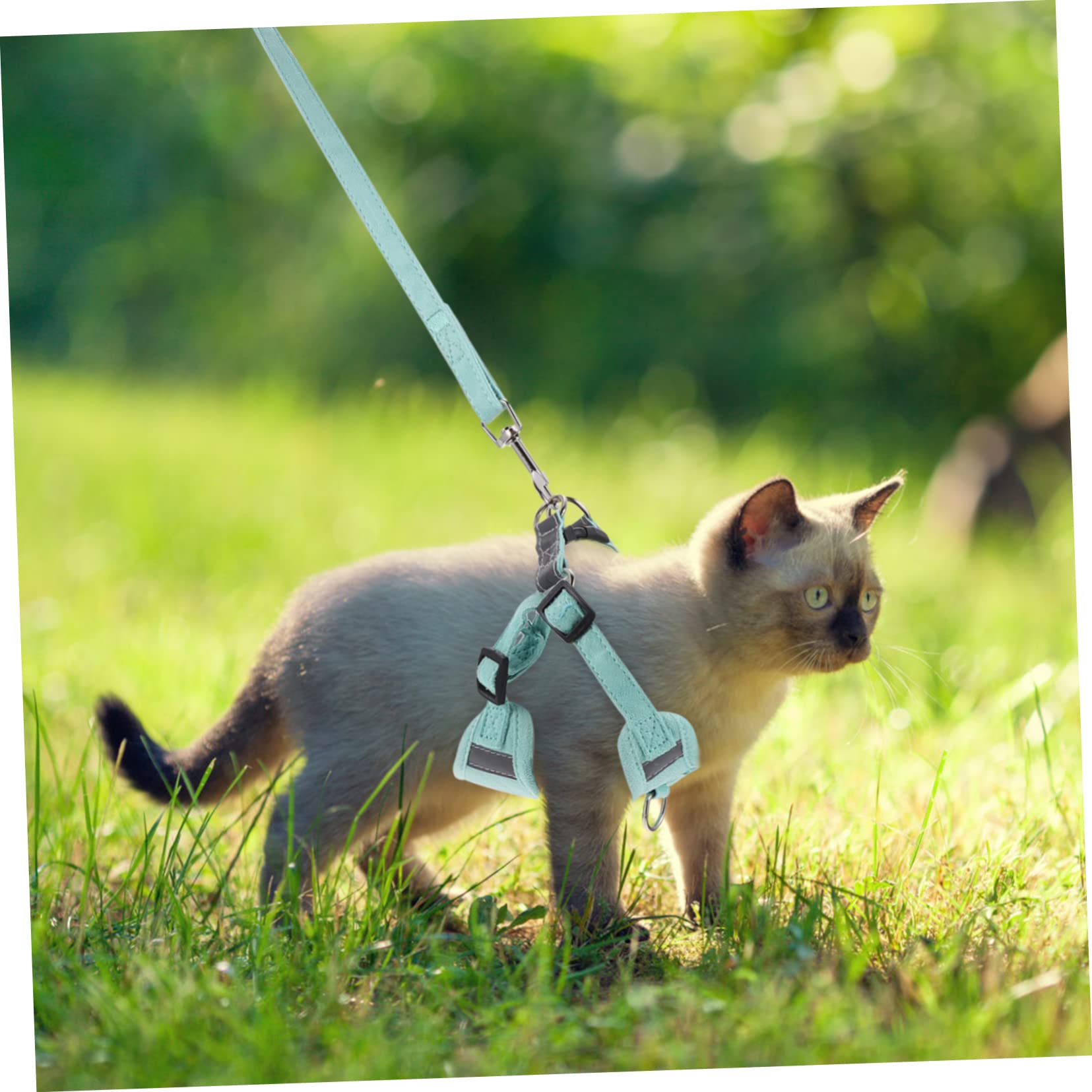 HANABASS Soft Chest Strap and Rope Set Kitten Traction Harness for Cats Reflective Strip