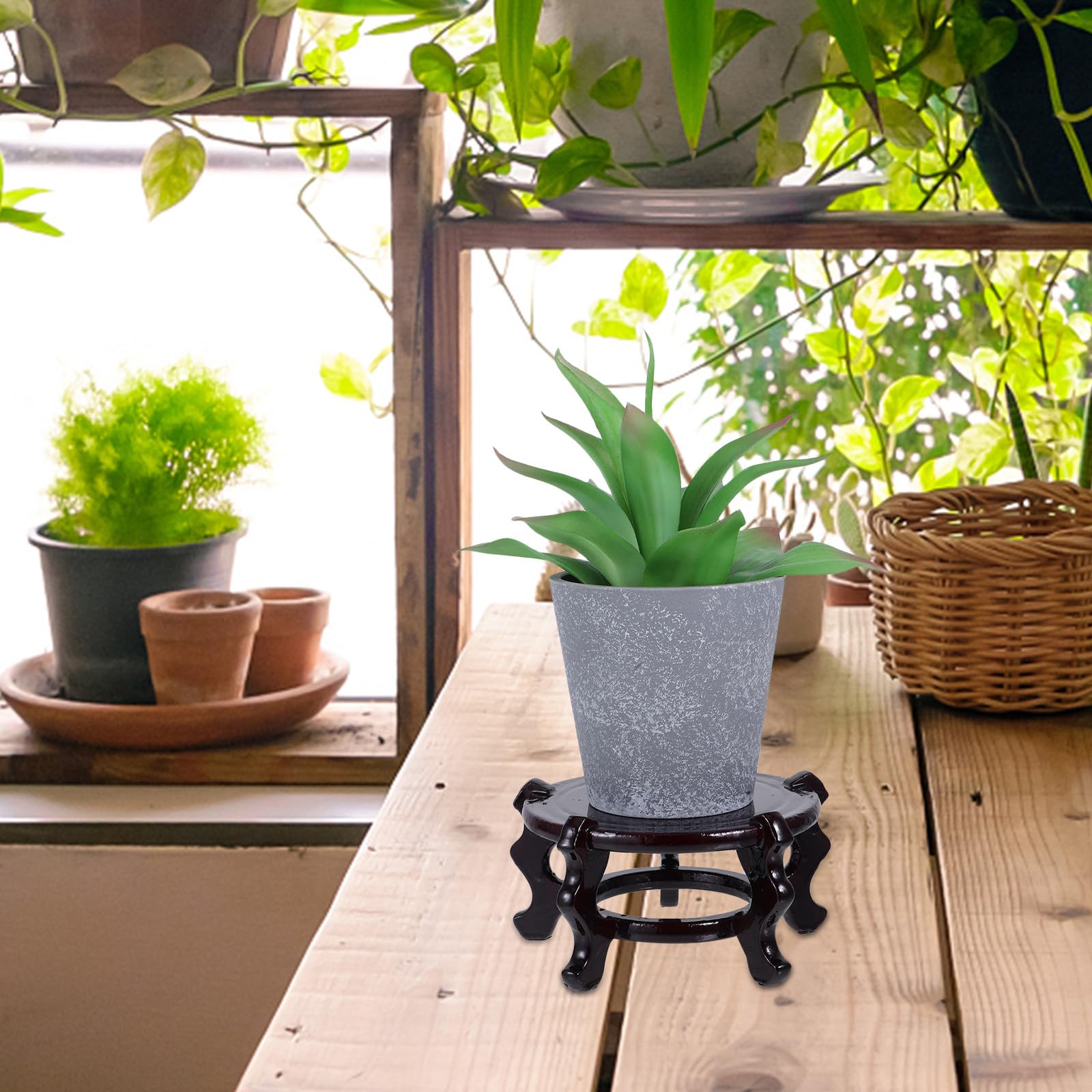 NOLITOY Soporte para Macetas de Madera Maciza Marrón, Base Redonda Resistente para Plantas Interiores, Estante Creativo de 2 Piezas Adecuado para Cualquier Rincón del Hogar