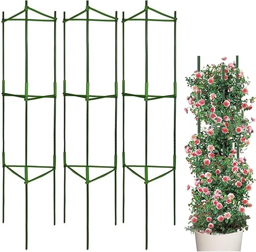 LIBRNTY Garden Supporto Piante Rampicanti,Gabbie Pomodori e Supporti per Piante,Stabile Struttura per Arrampicata,Adatta a Tutti i Tipi di Piante rampicanti,ortaggi,Fiori,Guardiano delle Piante