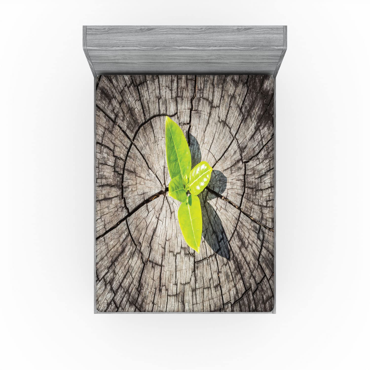 Ambesonne Nature 2 Pack Fitted Sheet, Dried Earth Planet, Bed Cover All-Round Elastic Deep Pockets 2 Pieces, Package Contains 2 Full Size Fitted Sheets, Brown and Green