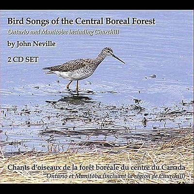 Common Eider      Eider à duvet