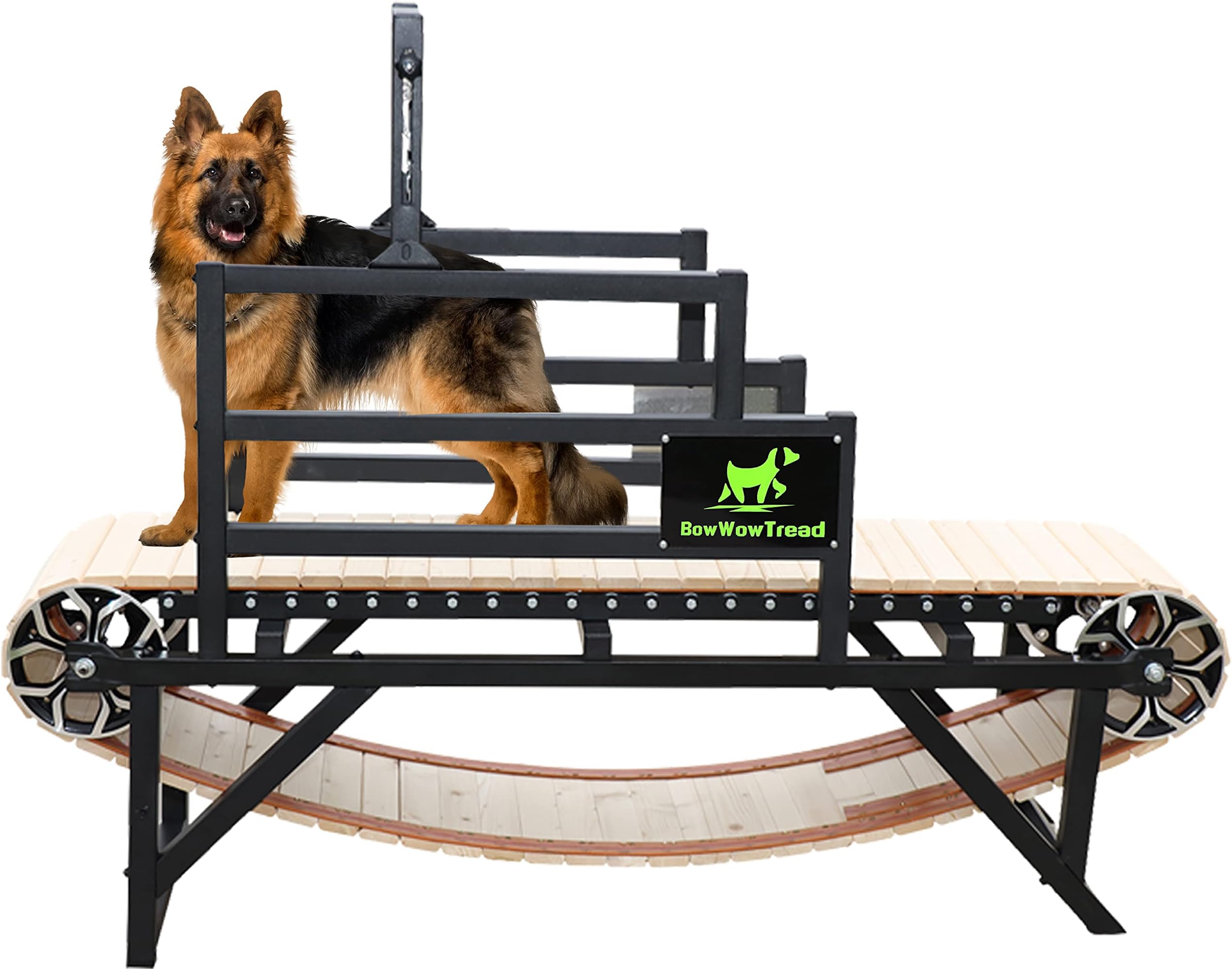 dogPACER 91641 LF 3.1 Full Size Dog Pacer Treadmill, Black