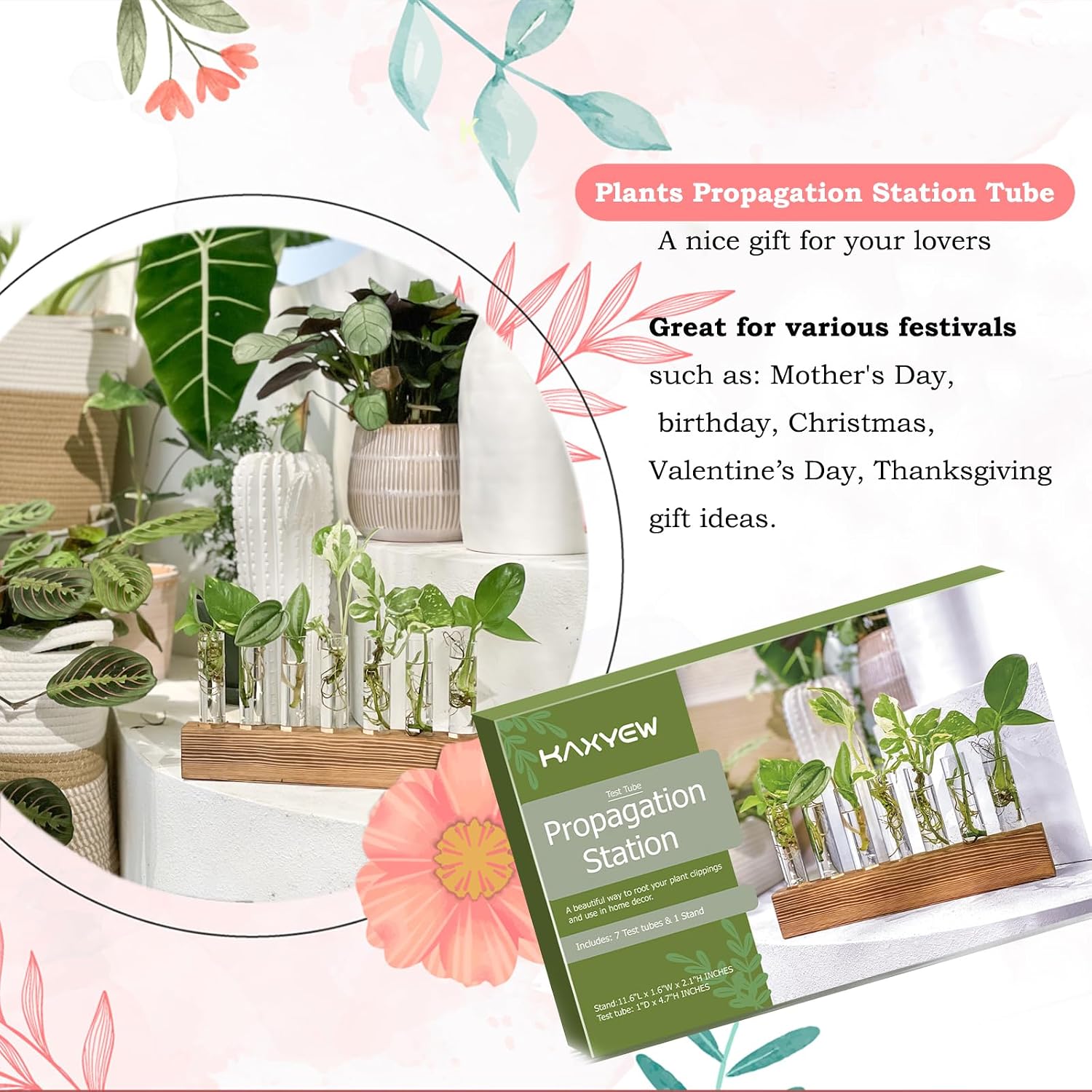 KAXYEW Plant Terrarium with Wooden Stand, Plant Propagation Tubes, 7 Test Tubes Glass Planter for Hydroponic Plant Cuttings Home Office Décor image 3