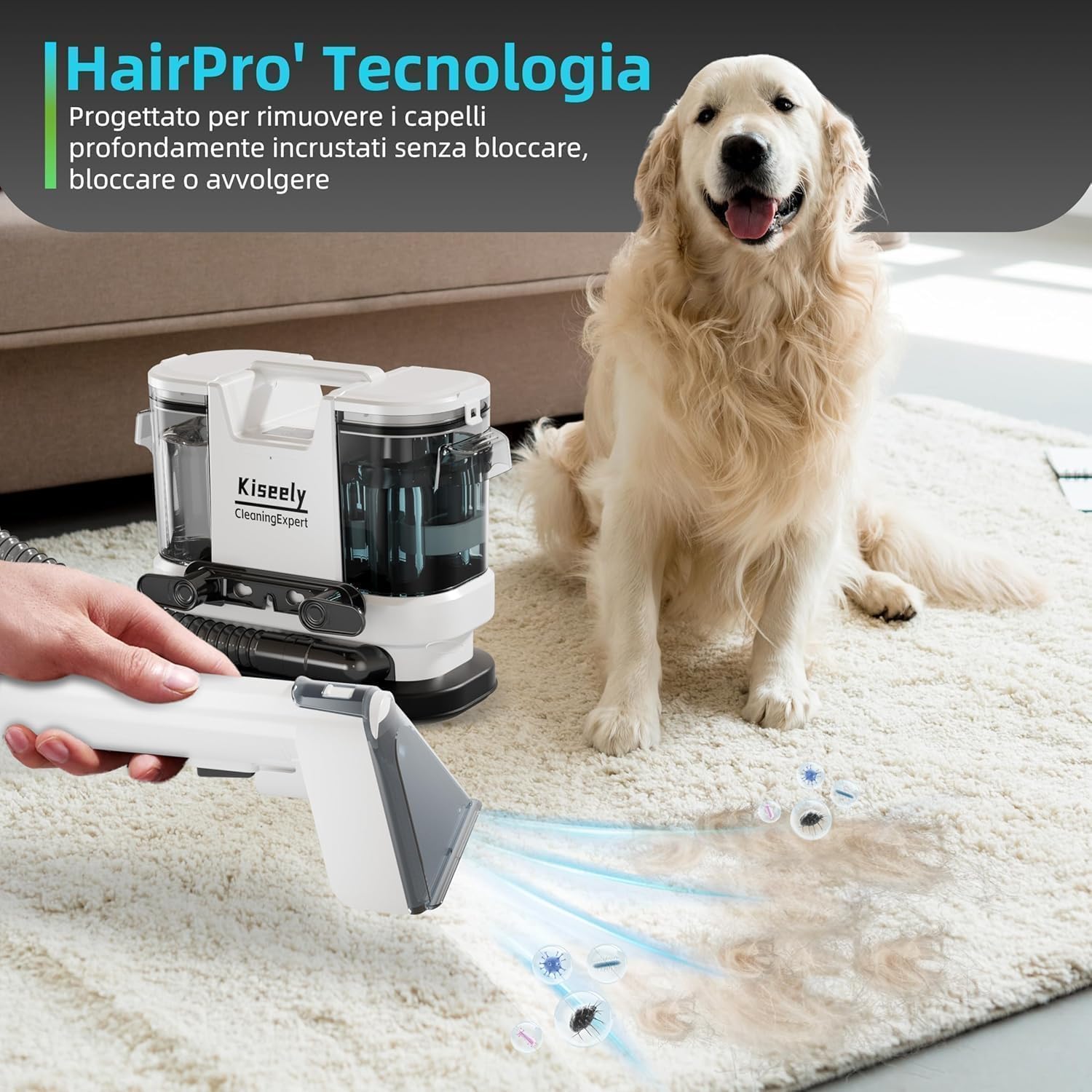 Aspiradora Agua Tapiceria Limpiador, con calentamiento instantáneo, 600W potente succión y limpieza profunda para alfombras, sofás, coches y mascotas (Blanco)