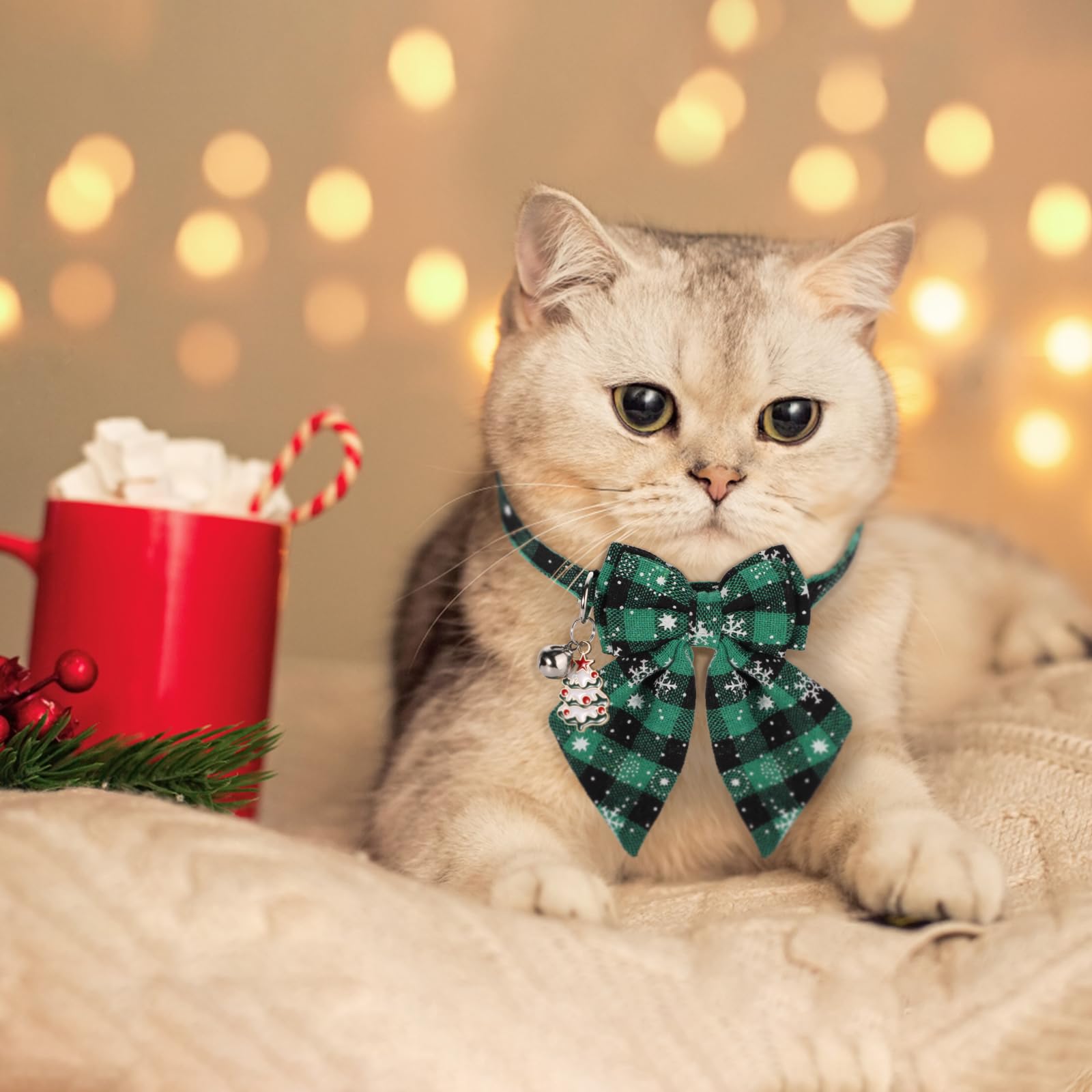cat christmas bow tie