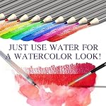 Dessin de crayons avec carnet de croquis 50 Pages, crayons colorés 53pcs Set in a Portable Zipper Case, Aquarelle n Crayons métalliques, Sketch Crays n Accessoires inclus, Débutants n Pros
