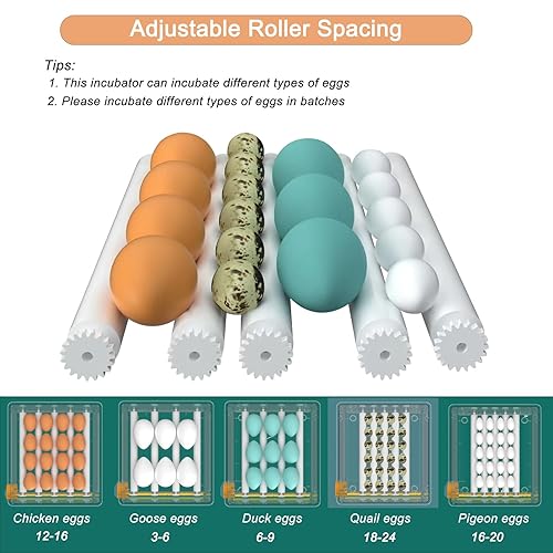 Miniatura 4 de Hethya Incubadoras para incubar huevos, incubadora de 12 a 16 huevos con girador automático de huevos y vela de huevos, incubadora para huevos de