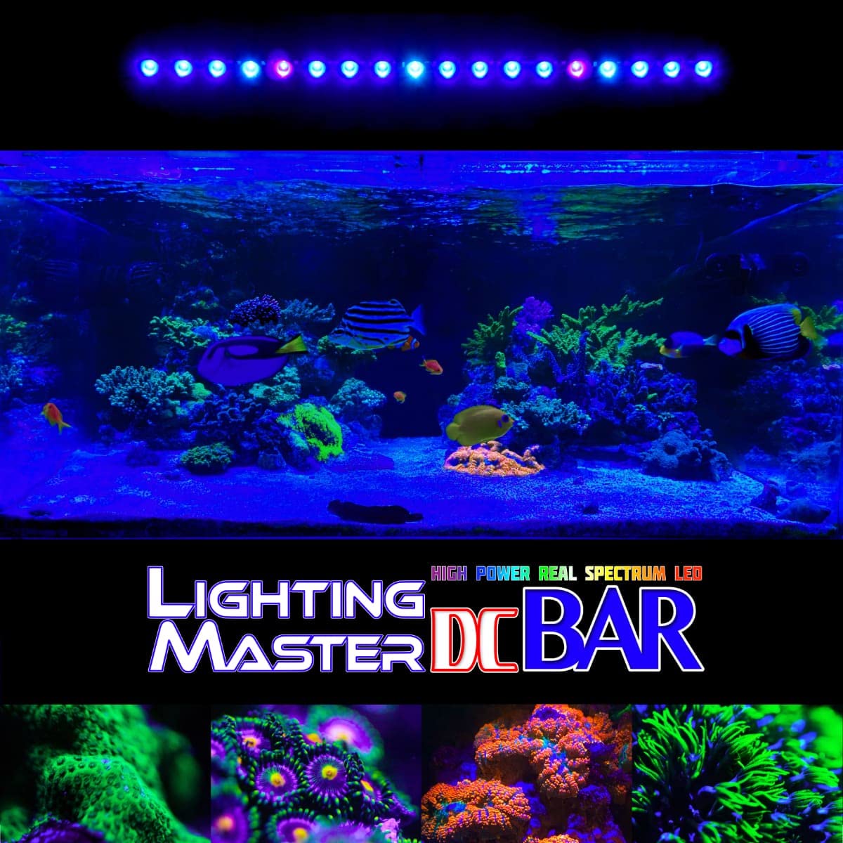 Amazon.co.jp: B.R.S Lighting Master DC Bar【サファイアブルー