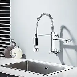 TINICO Torneira de Cozinha Gourmet,Aço Inoxidável Água Fria Única Com Misturador de Extraível,Bicos Duplos Torneira de Parede,Rotação 360,Cromado