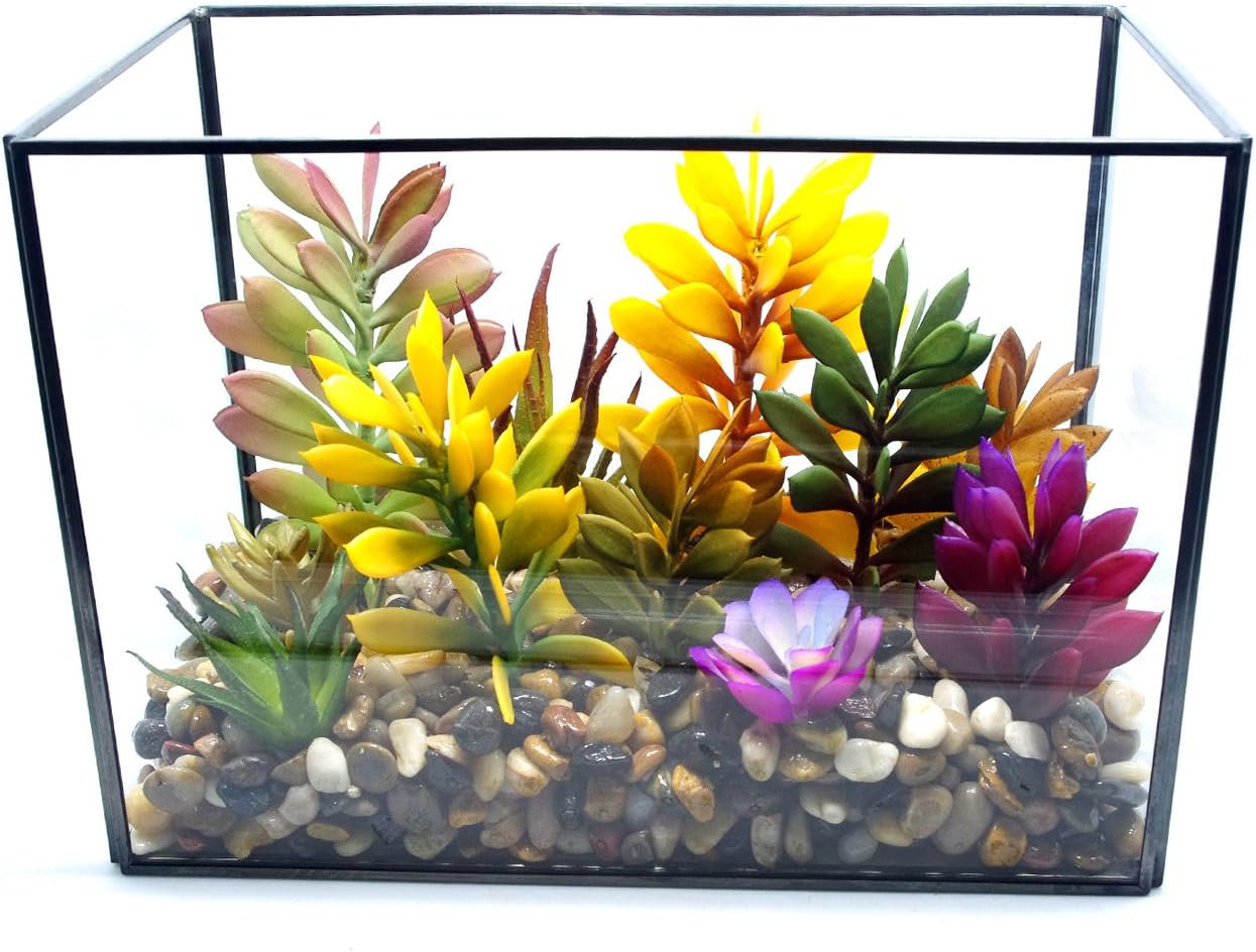 Cvens Clear Glass Terrariums,Geometric Terrariums,Geometric