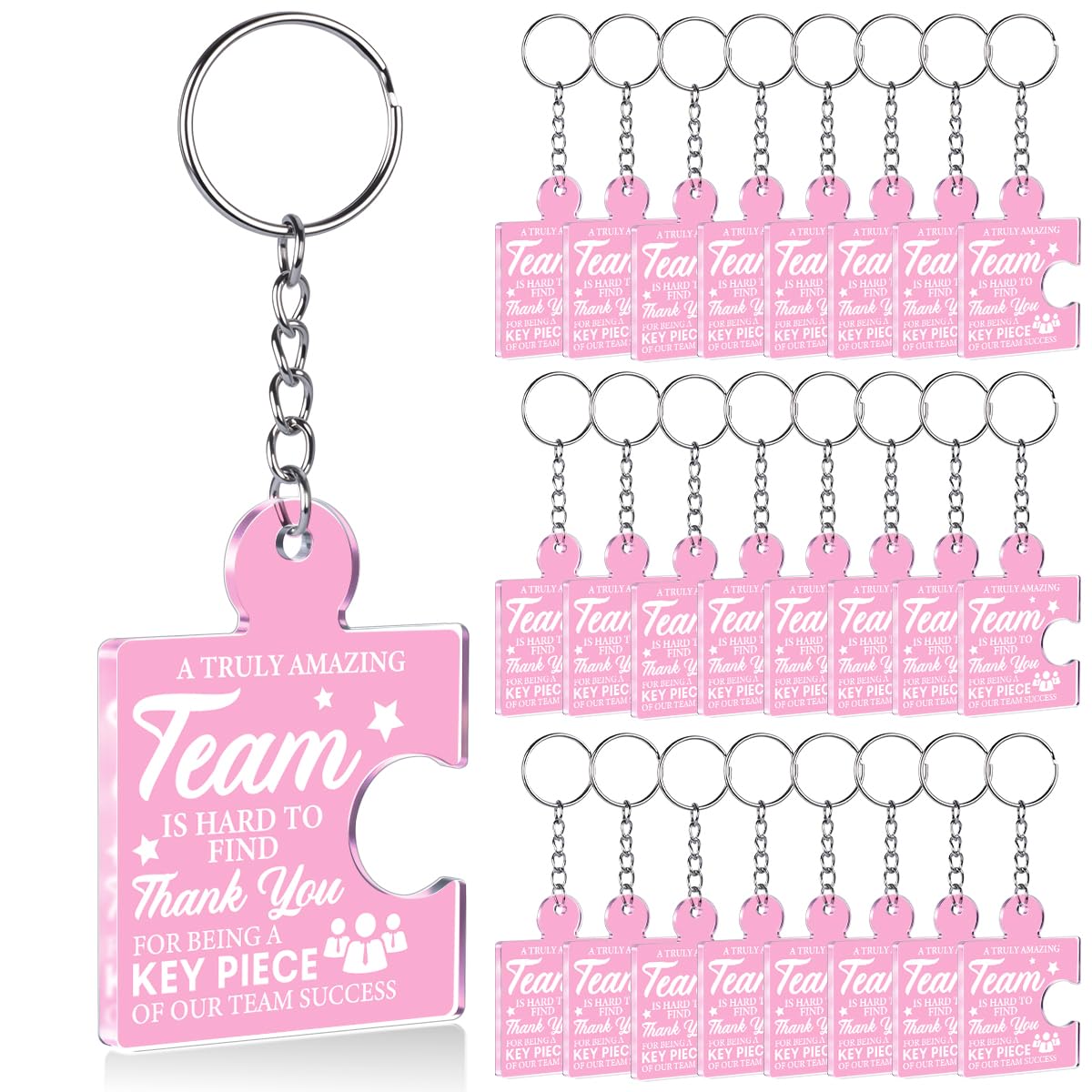 Team Appreciation Gifts Bulk Thank You Keychains for Coworkers