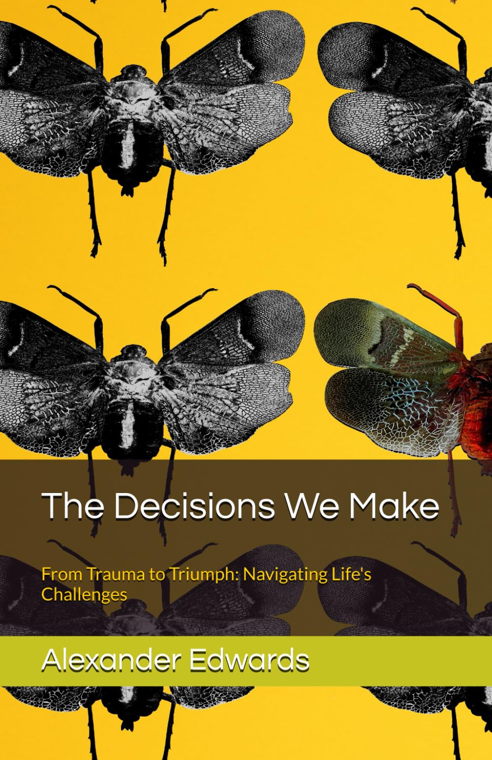 The Decisions We Make: From Trauma to Triumph: Navigating Life's Challenges