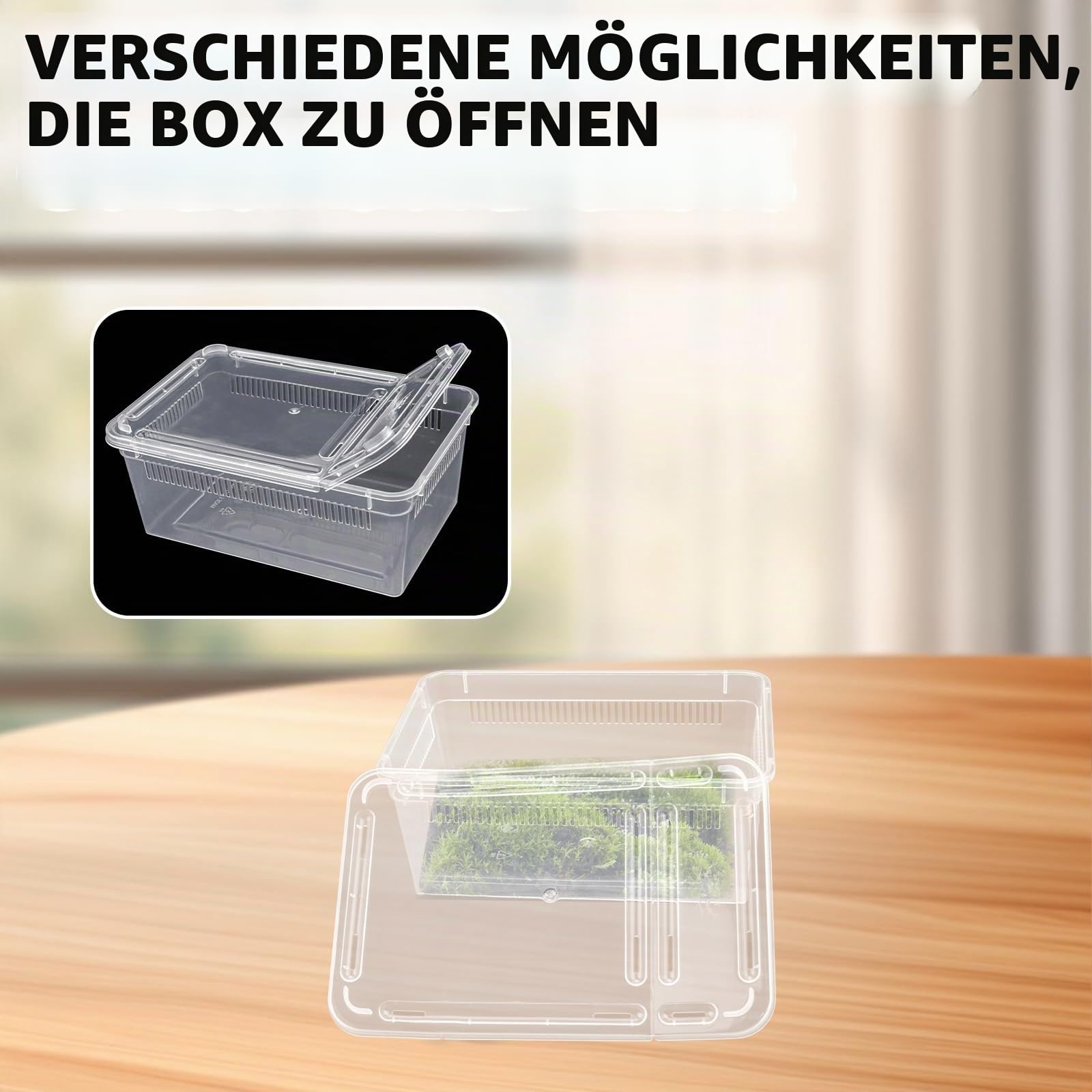 Isopod Futterbox für Reptilien, Kunststoff-Terrarium, Reptilienzuchtbox für Bartgecko, Drache, Eidechse, Spinne, Frosch, Rreptilienträger (transparent), 10 Stück