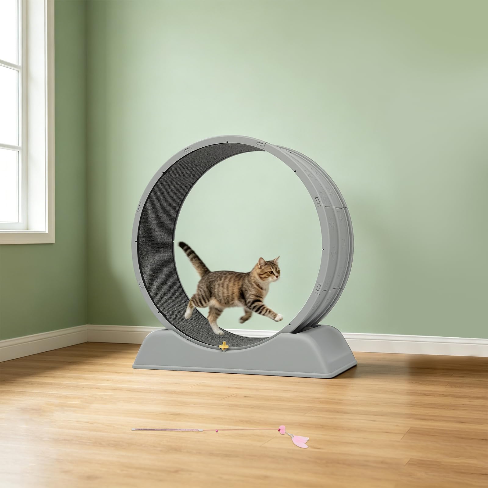 Tapis roulant per gatti, grigio, silenzioso, portata 10 kg, adatto per allenarsi o giocare in soggiorno, camera da letto o balcone