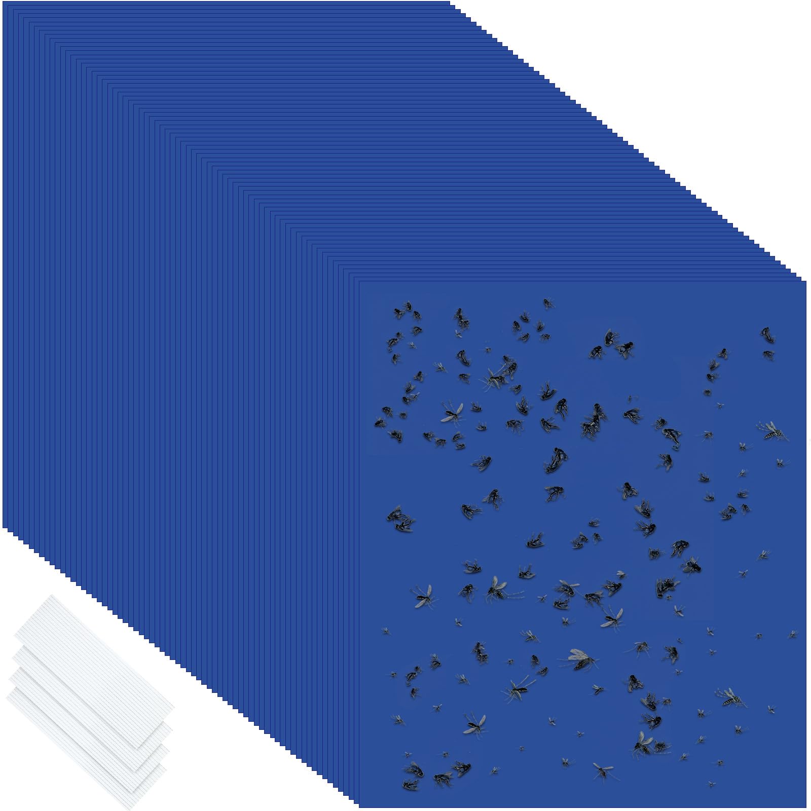 Qualirey 200 trampas adhesivas azules de 6 x 8 pulgadas para trips de doble cara para plantas de mosquitos, control de plagas para mosquitos de hongos, trips, moscas blancas, paquete a granel con