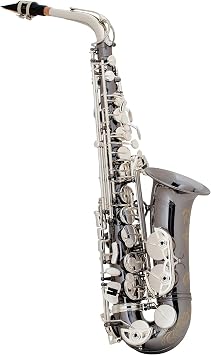 SELMER Alto Saxophone, lacquer AS42
