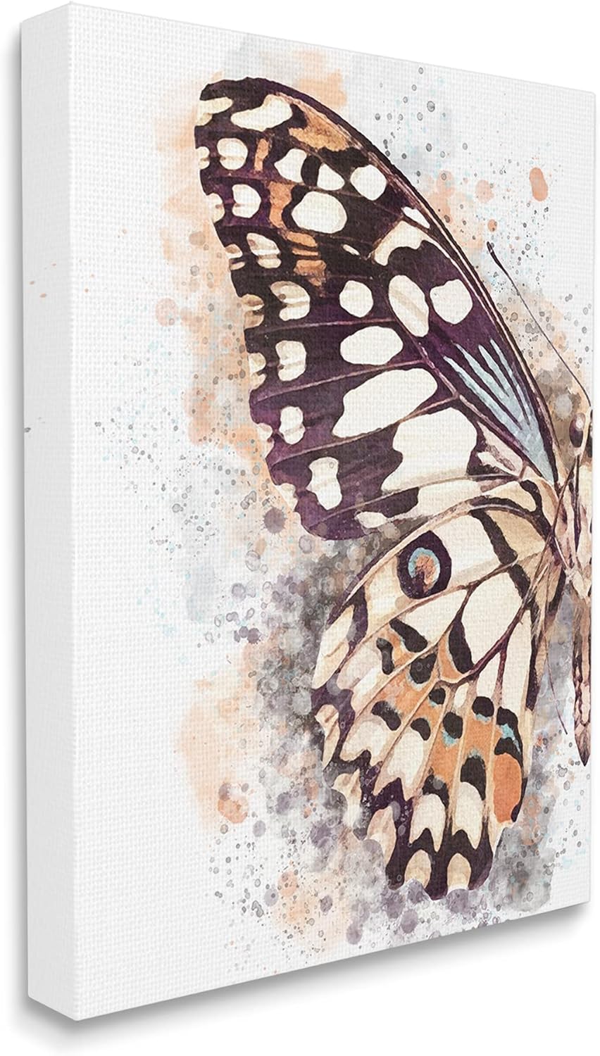 Stupell Industries Close Up Butterfly Patterned Wing Paint Splatter