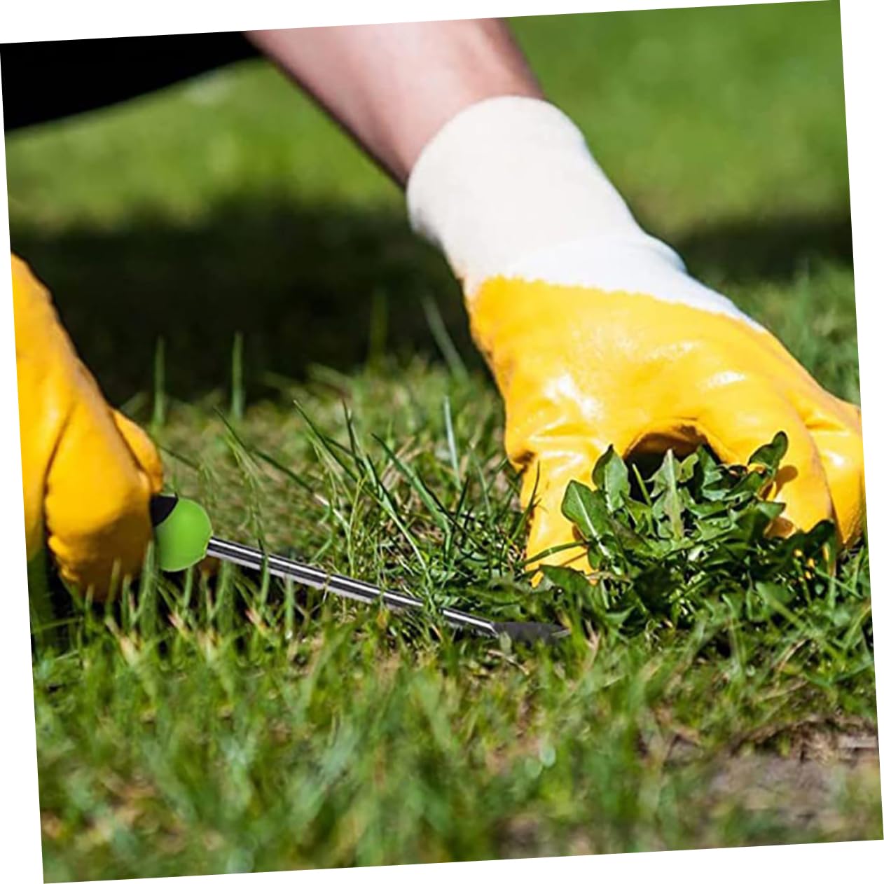 3pezzi Estirpatore Manuale da Giardino Strumento per Rimuovere Erbacce Leggero e Versatile per Giardinaggio Adatto per Uso Domestico e Agricolo Design Ergonomico e Facile da