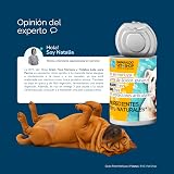 Ver la foto 8