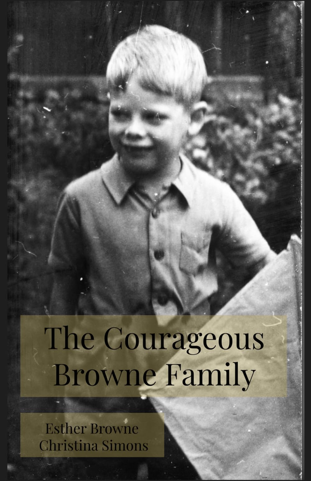 The Courageous Browne Family: A family portrait of three generations of the Browne family and their adventures