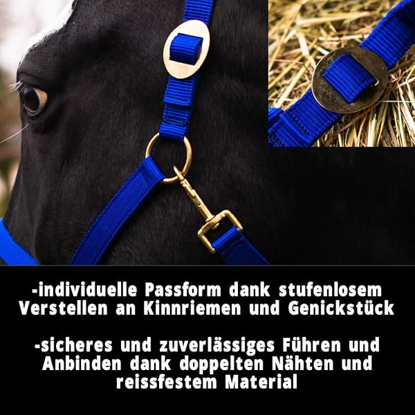 Cabestro para caballo de sangre caliente, sangre completa, sangre fría – 2 posiciones ajustables en la barbilla y la nuca (azul real, sangre completa) - 3