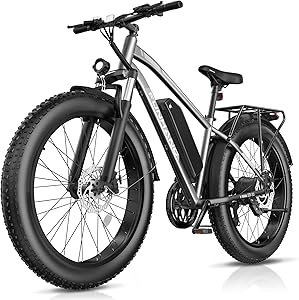 Funhang Electric Bike – 1000W Peak, 26