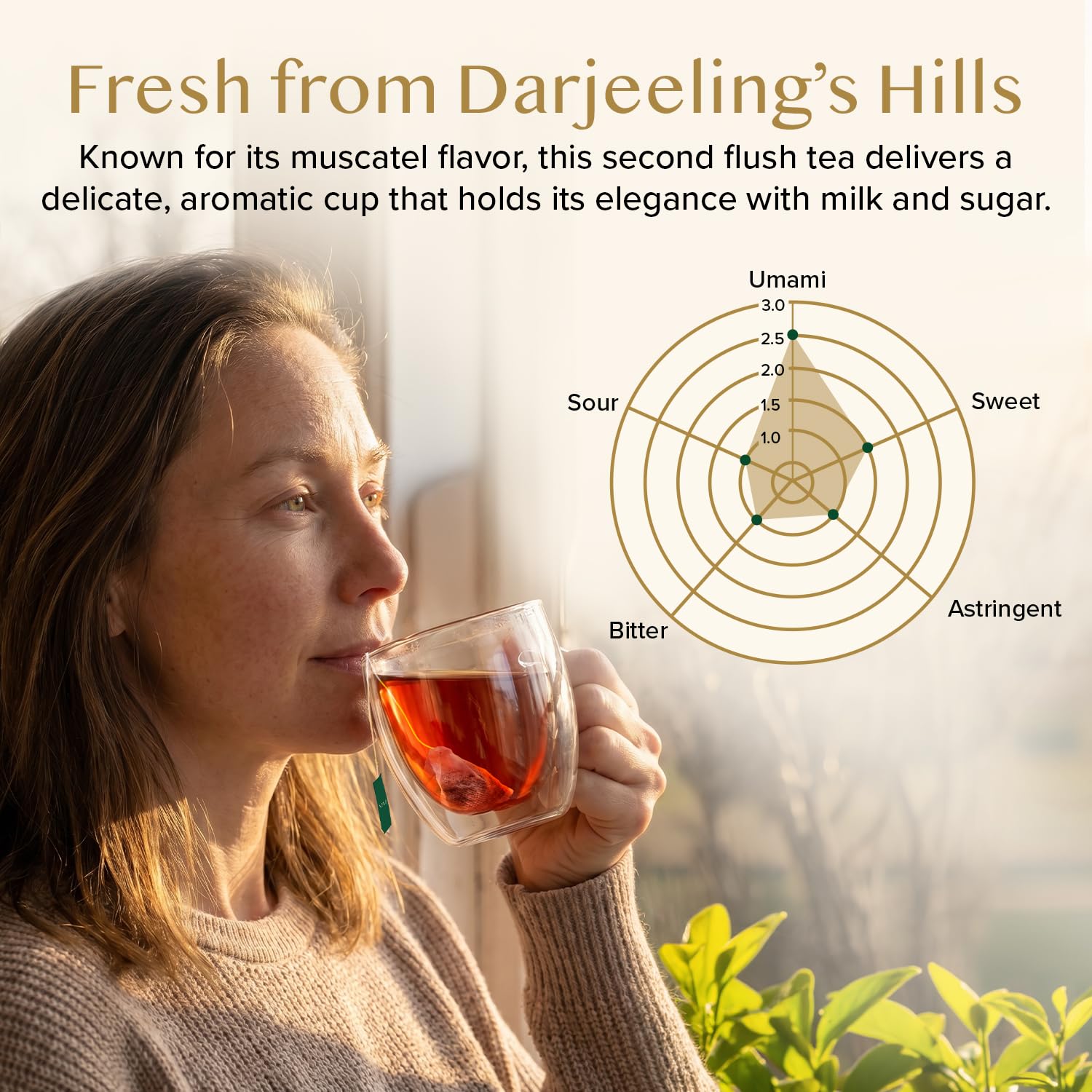 VAHDAM, Tè Nero Darjeeling (100 Bustine) Alto Tenore di Caffeina | Forte, Robusto e Aromatico | Darjeeling Second Flush | The Nero in Bustina | In Bustina Richiudibile con Chiusura Ermetica