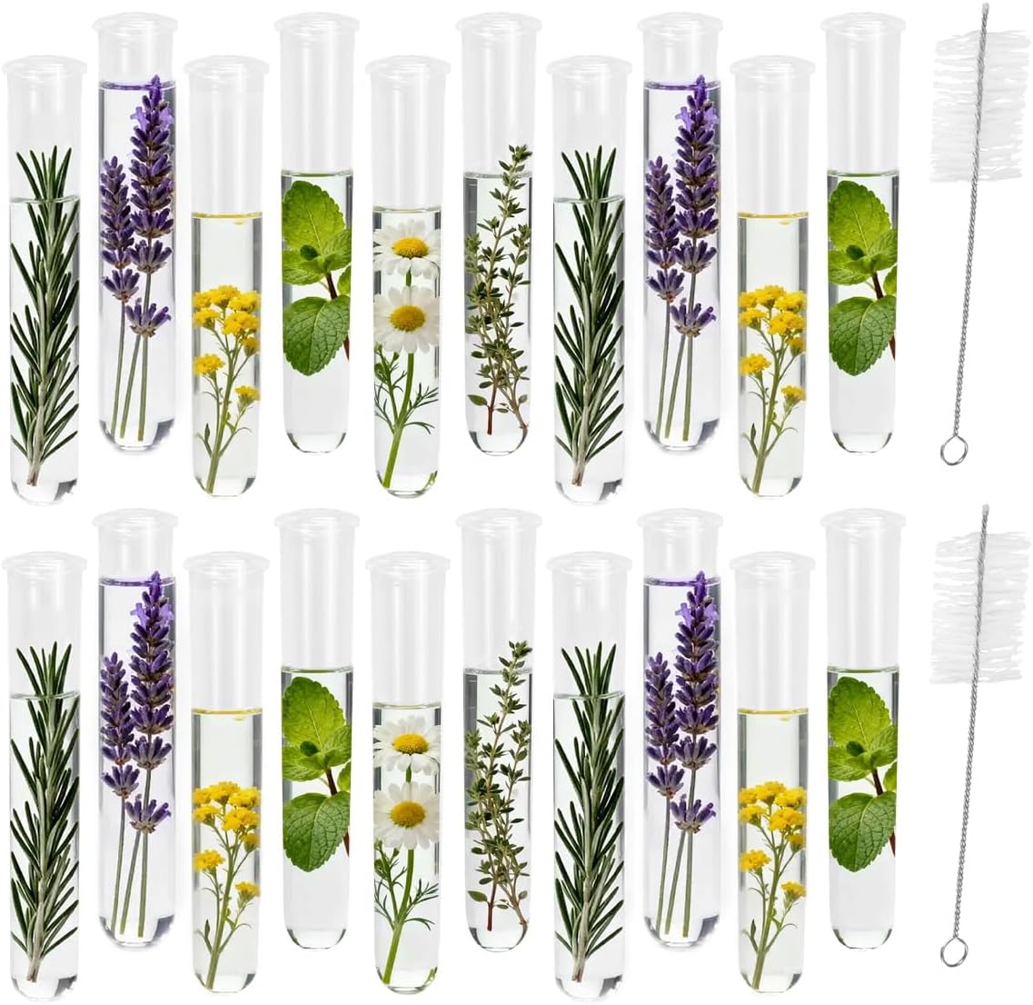 20Pcs Test Tubes for Plants Propagation Tubes with Brush, Propagation Station Tubes 20ml Plastic Test Tubes for Hydroponic Plants, Flowers, Home Office Wall Decor (12 cm)