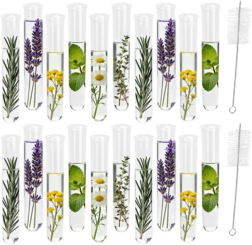 20Pcs Test Tubes for Plants Propagation Tubes with Brush, Propagation Station Tubes 20ml Plastic Test Tubes for Hydroponic Plants, Flowers, Home Office Wall Decor (12 cm)