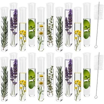 20Pcs Test Tubes for Plants Propagation Tubes with Brush, Propagation Station Tubes 20ml Plastic Test Tubes for Hydroponic Plants, Flowers, Home Office Wall Decor (12 cm)