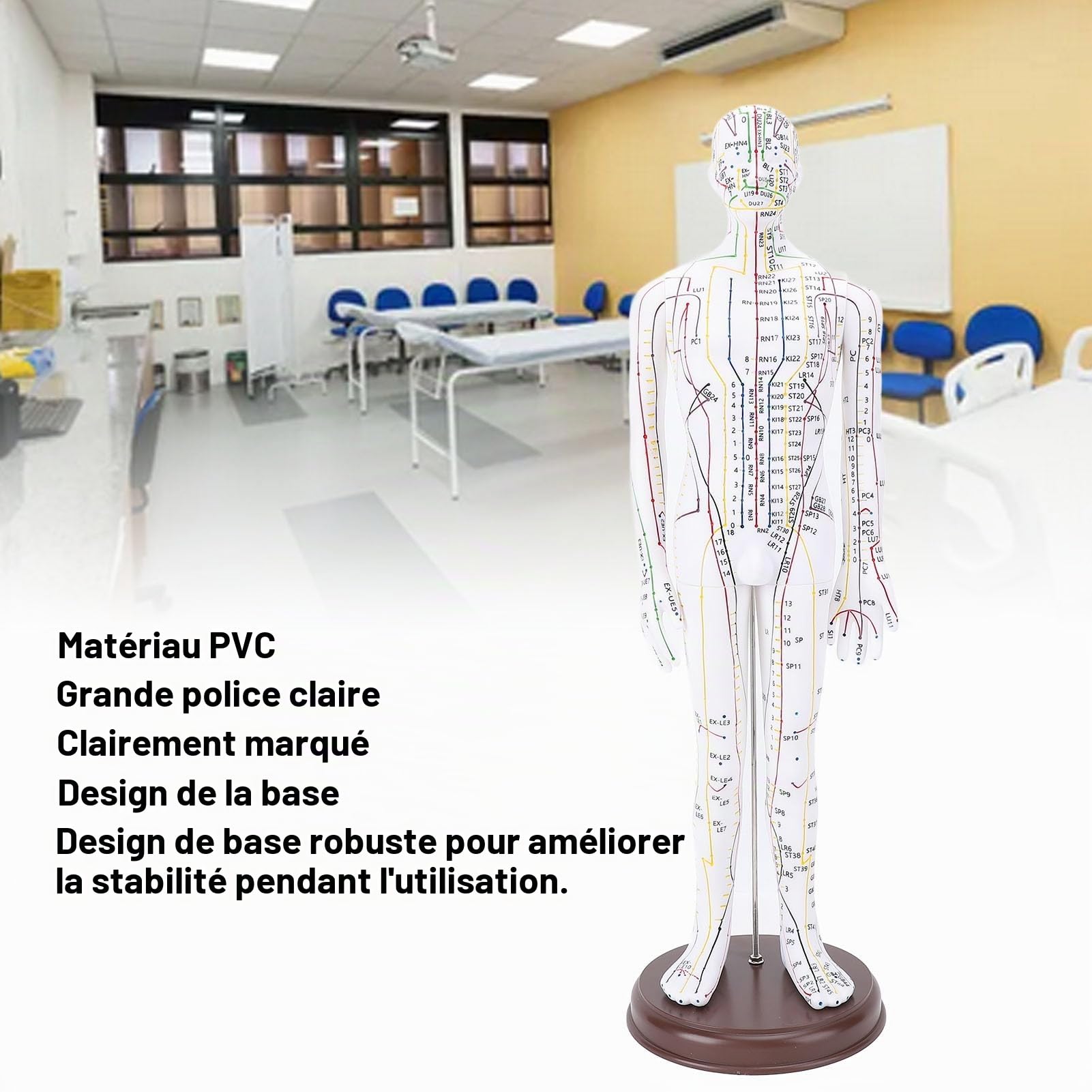 Modèle d'acupuncture, poupée d'acupuncture professionnelle en PVC de 20,47 pouces Modèle d'acupoint humain de haute définition avec base pour l'enseignement de la médecine