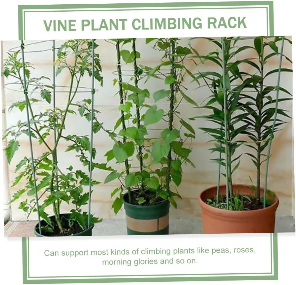 プランター ハンディプランター スマート菜園 長方形 3個セット （ 植木鉢 鉢 園芸用品 ガーデニング 持ち手付き 移動 屋外 庭 ガーデン  家庭菜園 吸水ガイド 水補給 手軽 寄せ植え 3個 ） 【ダークブラウン】(ダークブラウン): リビングート ANA Mall店｜ANA Mall  ... 2セット トマトケージ 屋外 プランター 牡丹のケージとサポート 屋内用プラントスタンド 庭用植物サポート 立つ 植物のトレリス 植