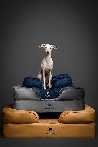 Miniatura 9 de NOAH & PAW Cama grande para perro, 35 x 25 x 11 pulgadas, camas ortopédicas para perros, espuma viscoelástica de cáscara de huevo con infusión de
