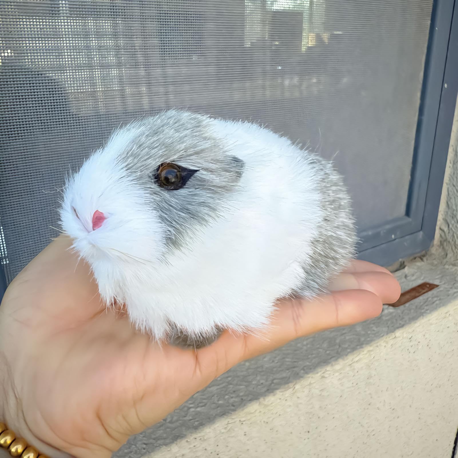 Juguete De Peluche De Hámster, Peluche De Hámster Animal Rel | Meses sin interés Juguete De Peluche De Hámster, Peluche De Hámster Animal Rel | Meses sin interés