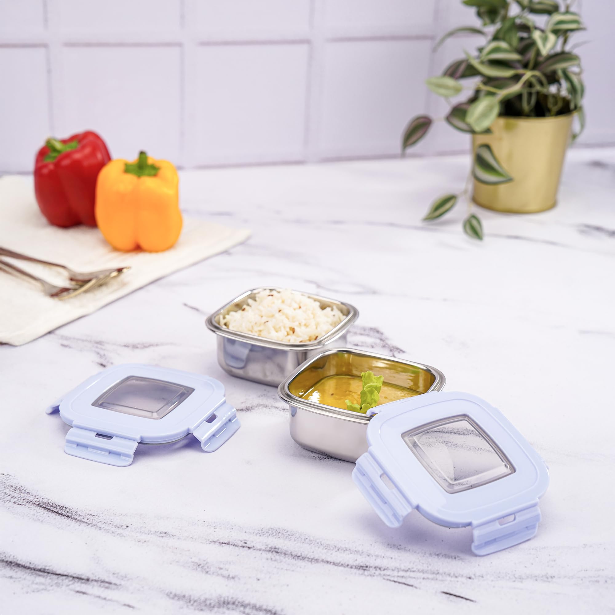 Nayasa Stainless Steel Lunch Boxes - Leak Proof Set of 2 -1