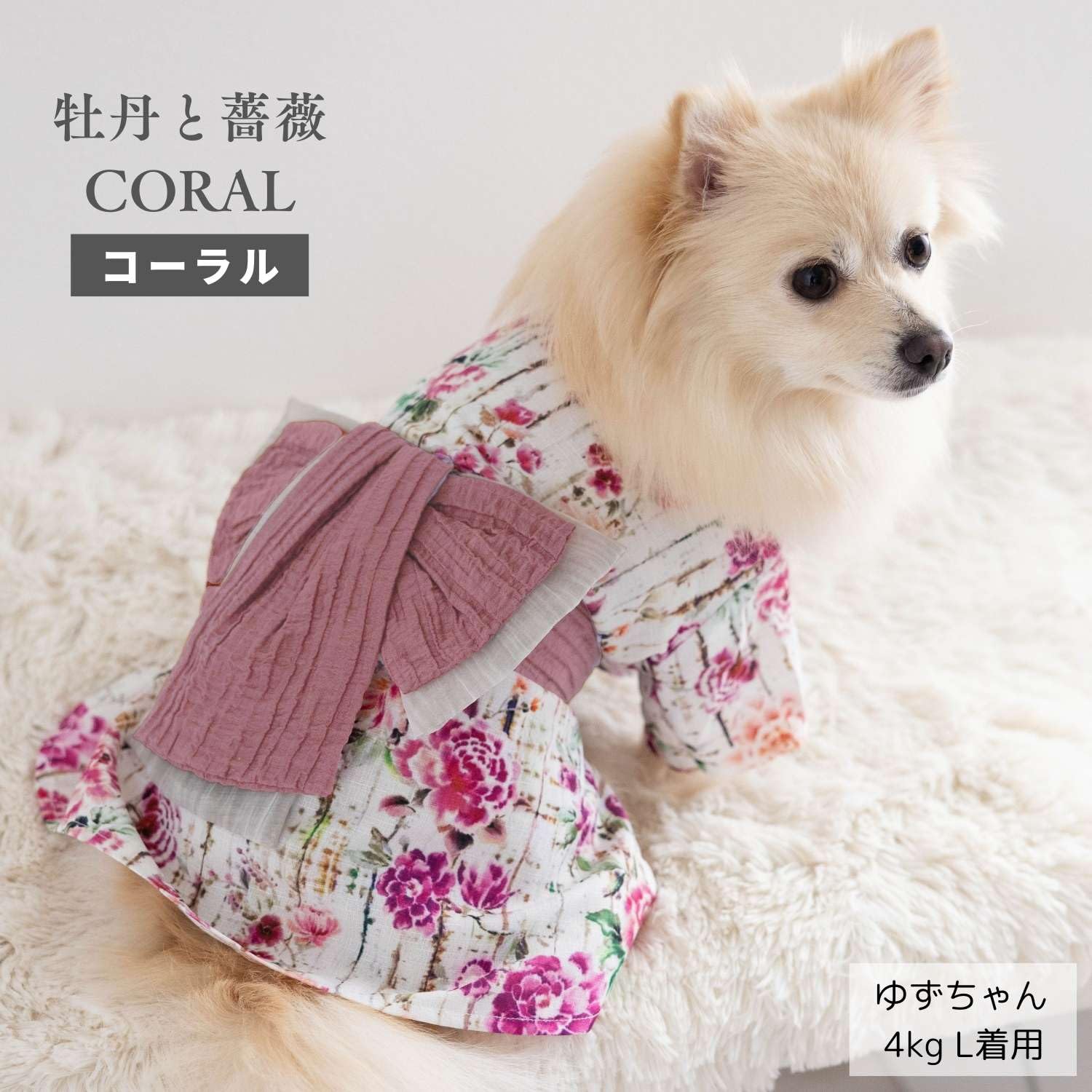 Amazon | ONEKOSAMA OINUSAMA ペット浴衣 浴衣 犬 いぬ イヌ 服 猫 Amazon | ONEKOSAMA OINUSAMA ペット浴衣 浴衣 犬 いぬ イヌ 服 猫