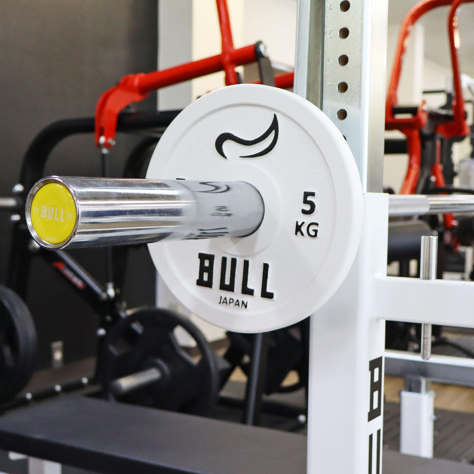 SKM Weight Plates 2 x 10 kg (Weight-21KG)