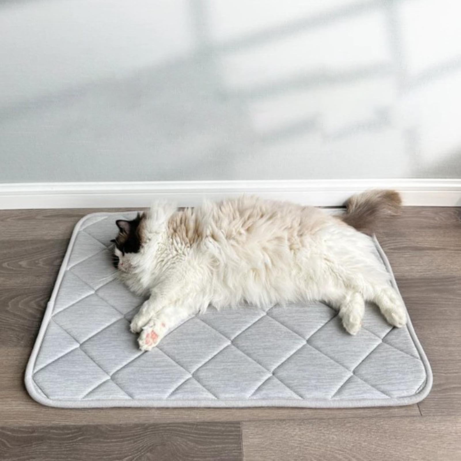 Cooling Pad Dog, Ice Silk Mat, 35 x 50 cm Washable Pet Bed with Breathable Fabric, Crate Insert with Non Slip Base, Indoor Outdoor Travel Accessory Cooling Comfort, Summer Supplies for Puppies